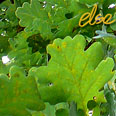 else